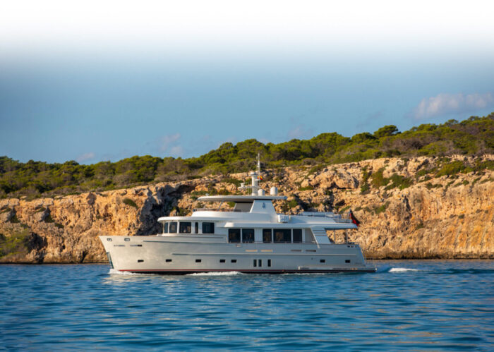 Felis with Naval Architecture by Diana